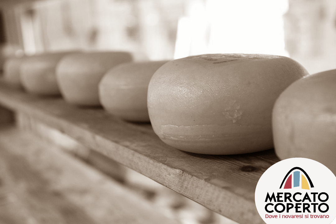 Foto mancante Foto mancante